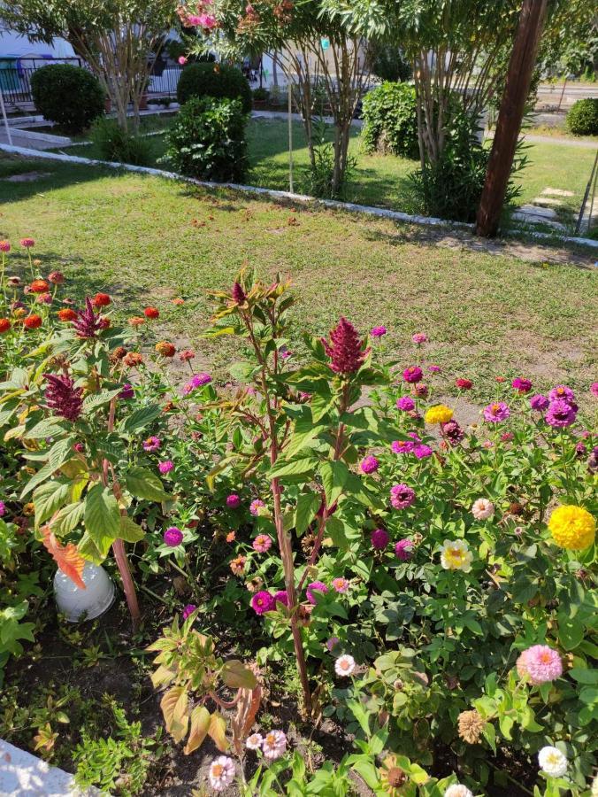 Nea Zoi Villa Moraḯtika Ngoại thất bức ảnh